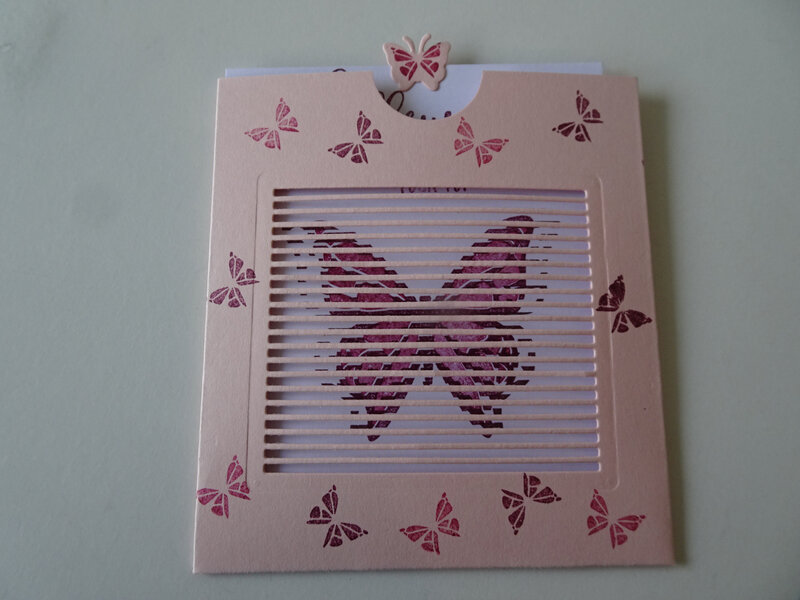 23c Carte Pochette Envol Papillon