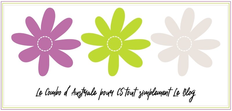 Le combo d australe 04-2017