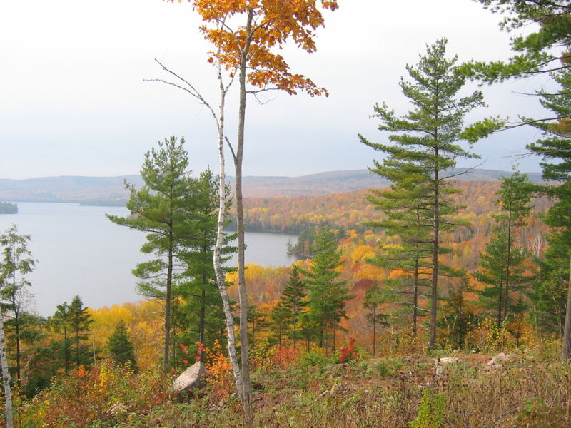 Mauricie_automne_08_099