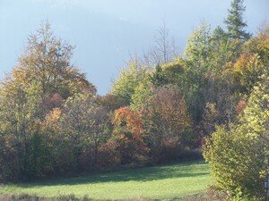 Orci_res_automne_2007_012