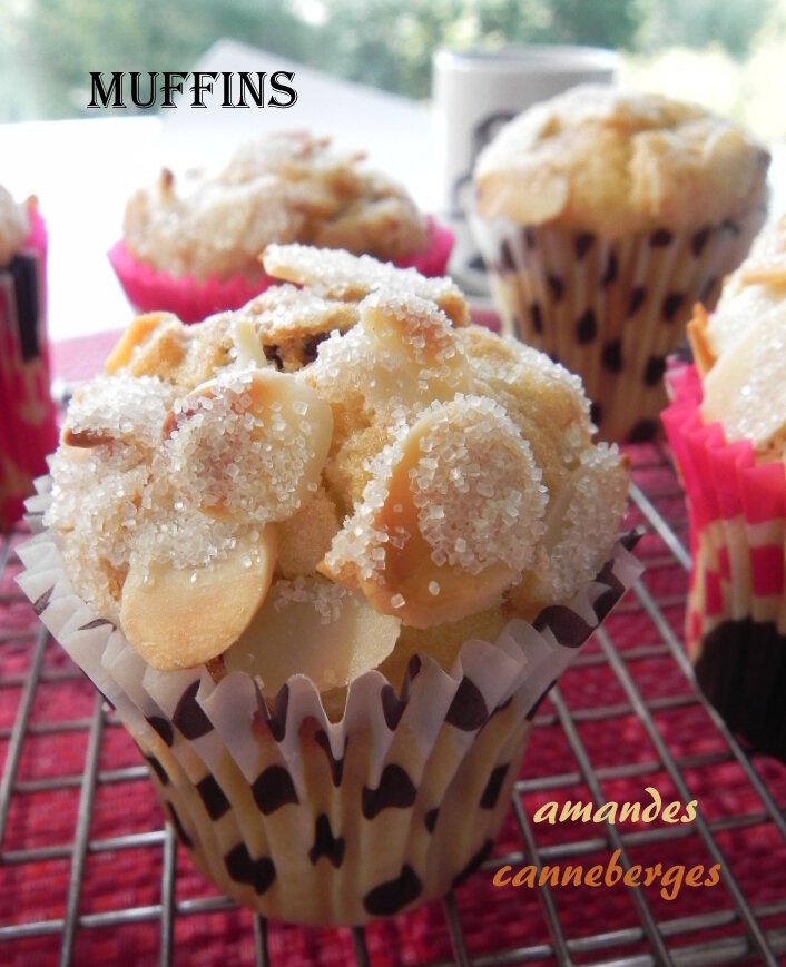 MUFFINS_AMANDE_CANNEBERGE_2