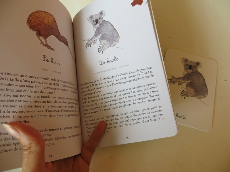 Mon coffret Montessori des animaux 4