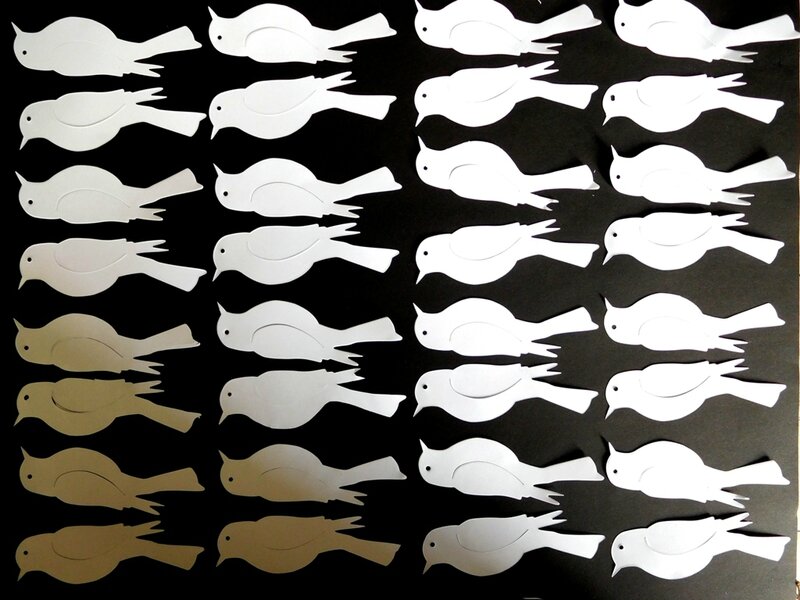 197_Noir et blanc_Nuées d'oiseaux (1)