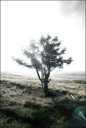 01-Hidden-eden