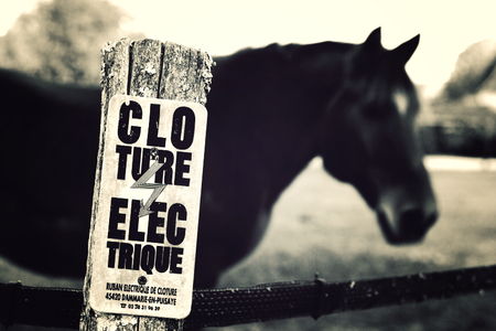 cloture
