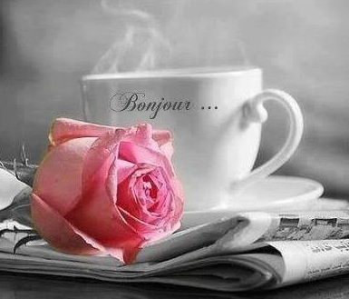 bonjour3