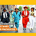 Les Pachucos : une communauté à découvrir sur Veedz