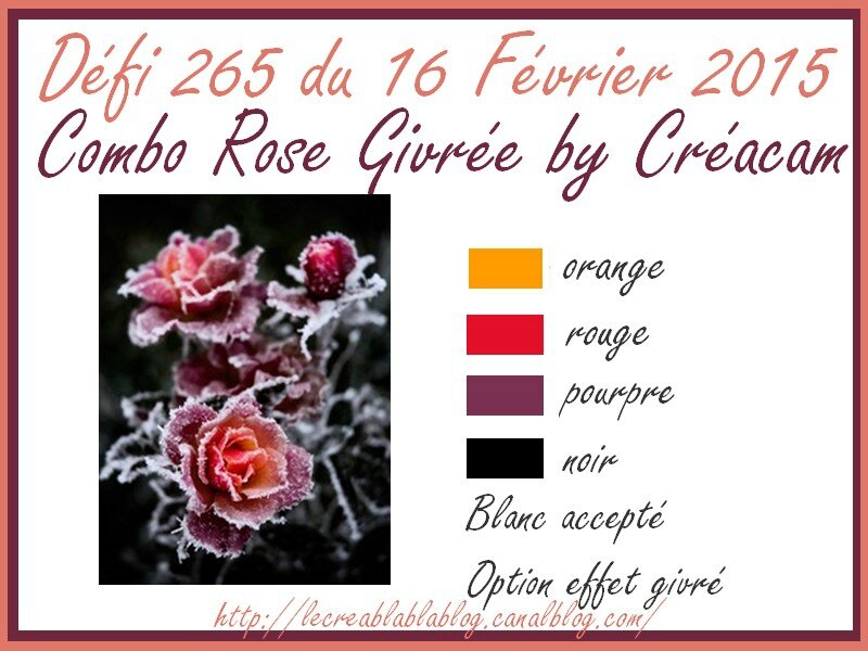 Défi 265
