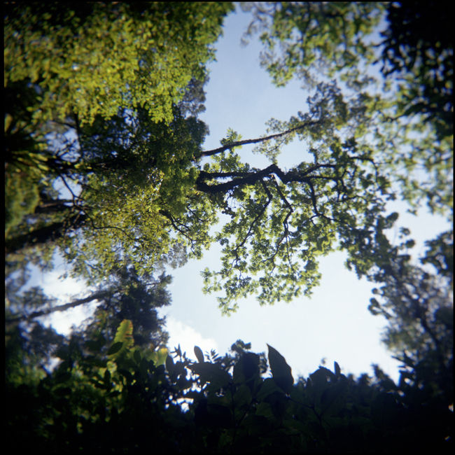 charlesdelcourt_holga17