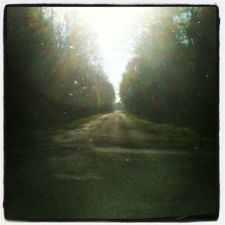 2012-04-25-Route en forêt-Instagram-LoFi