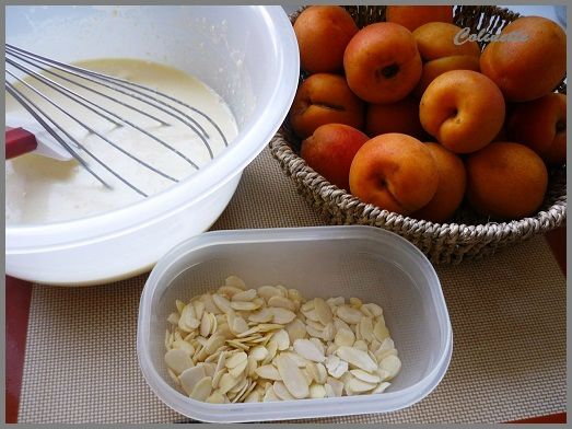 tarte amandes et abricots 01