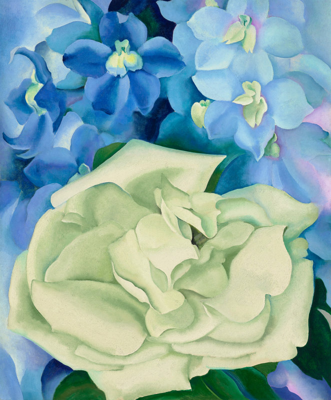 Georgia O'Keeffe, White Rose with Larkspur No