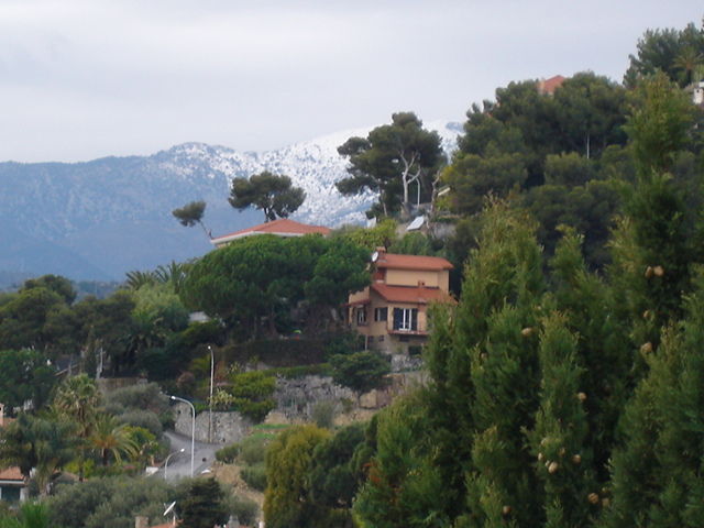 DSC01075