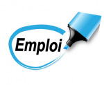 cellule_emploi