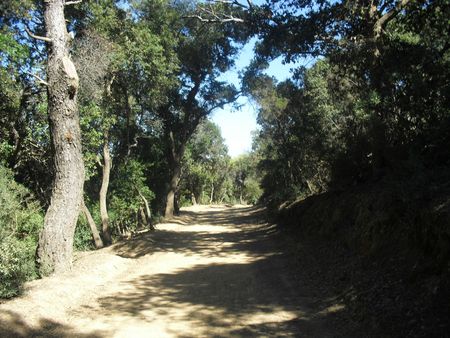 Sortie Porquerolles 19-9-2012 (63)