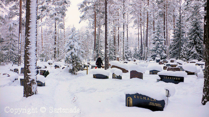 snowy_winter_graveyard_-1