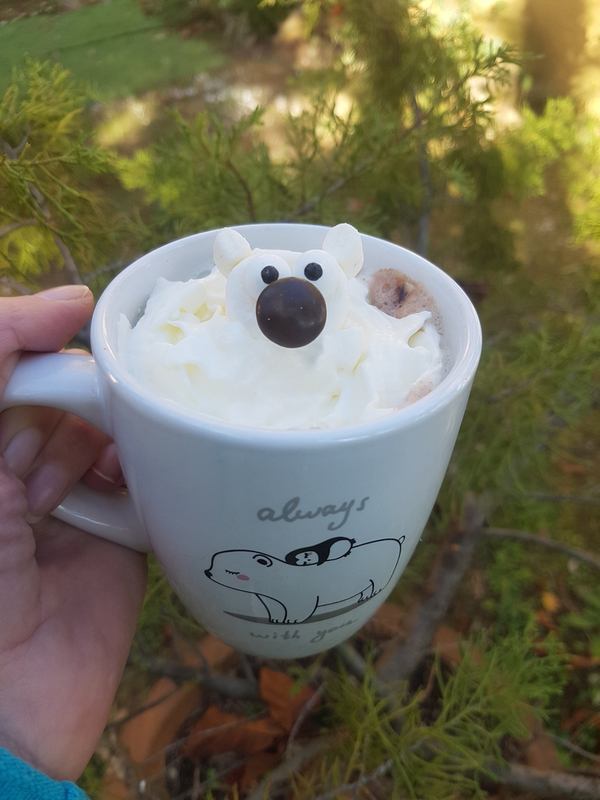 Chocolat viennois Ours polaire 03