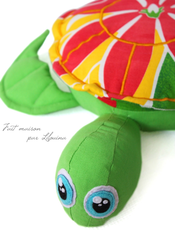 tortue02