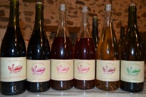 Les vins blancs de macération en Touraine : compte-rendu de la conférence  dégustée. - Vins Mille Lieux
