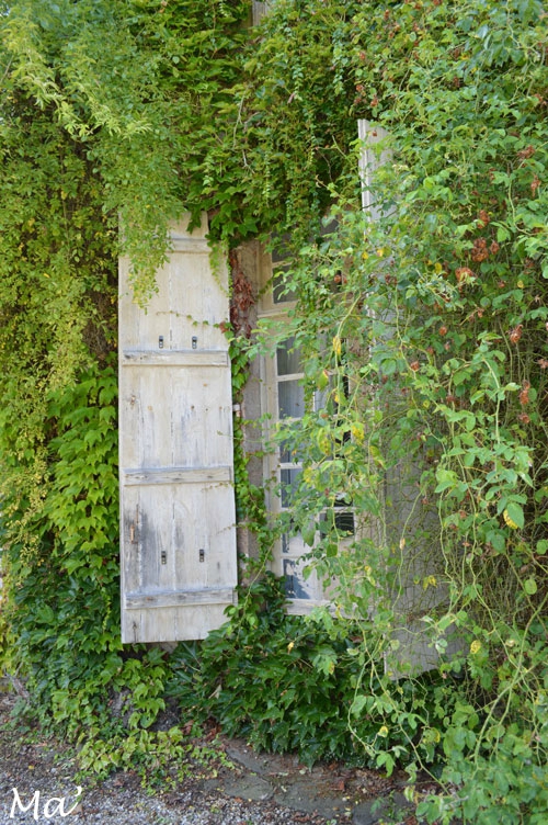 140810_chateau_Rouerie3