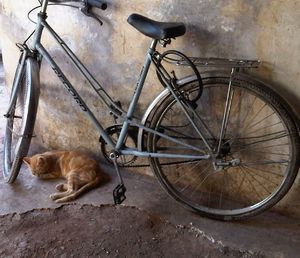 IMG00674-20110930-1005