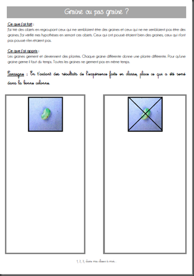 Windows-Live-Writer/Projet-TOUS-AU-JARDIN-_F95C/image_thumb_1