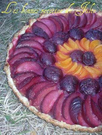 tarte_prunes_abricots__9_