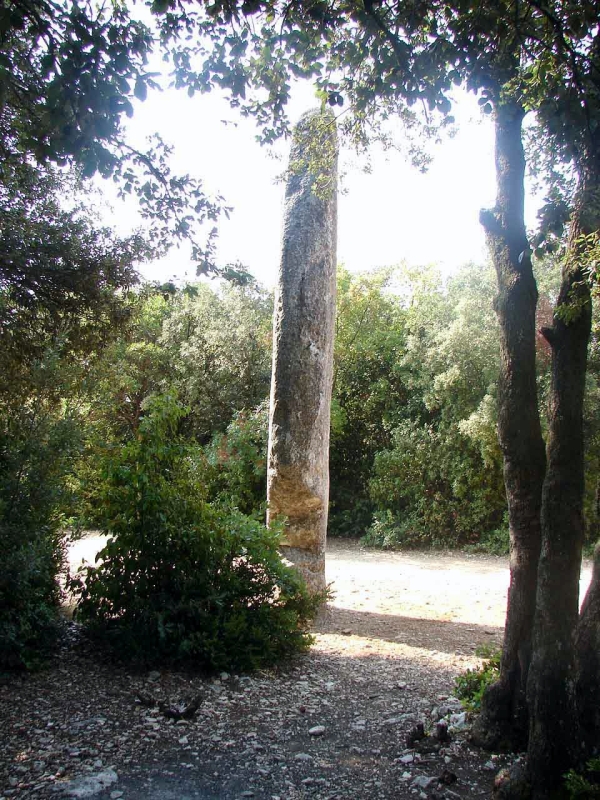 Lussan Menhir de la Pierre Plantée 8