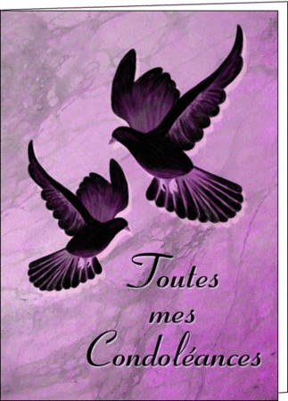 523_Toutes_mes_condoleances_colombes_nOIRS