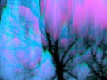 arbre_bleu_0657
