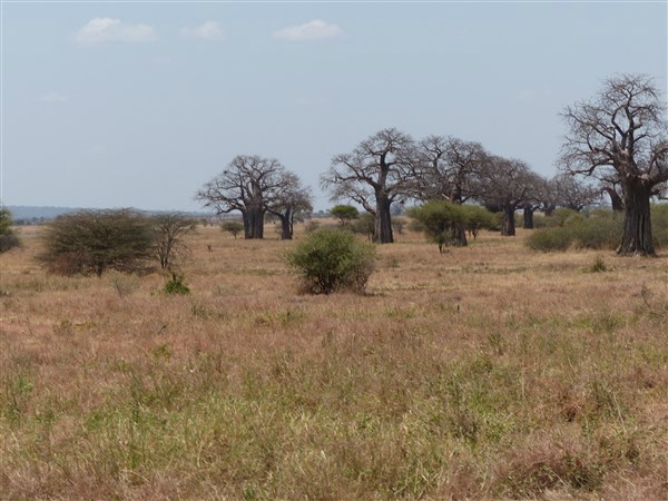 P1150338