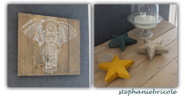 elephant et etoile