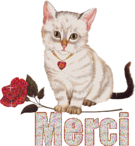 merci_chat2