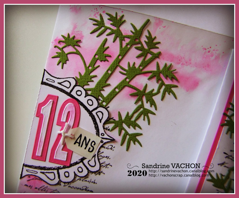 Carte défi 629 Sandrine VACHON PCC (4)