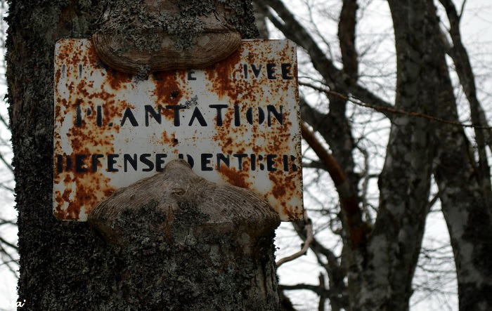 190309_grand_Echaillon_col_Lion_3
