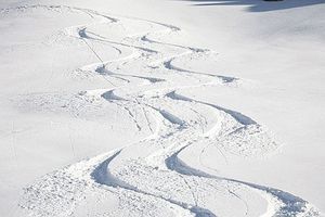 skis_traces
