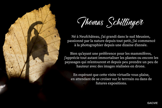 111- Thomas SCHILLINGER