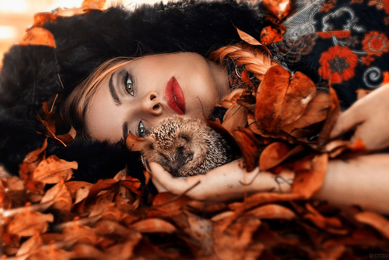 autumn-alessandro-di-cicco-model-orange-woman-leaf-hedgehog-girl-face