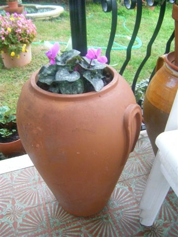 foto_varie_594