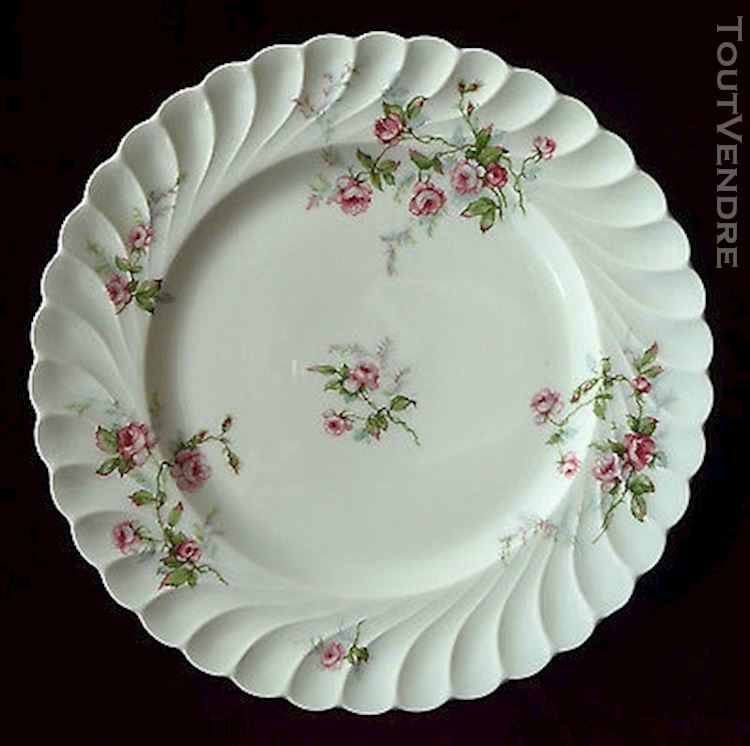 assiette-de-service-porcelaine-de-limoges-haviland-decor-20160413190235