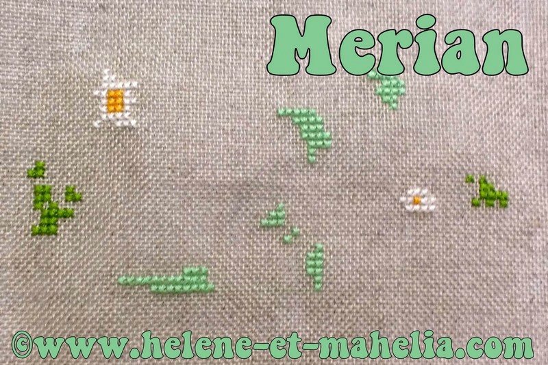 merian ES_saljuil14_2