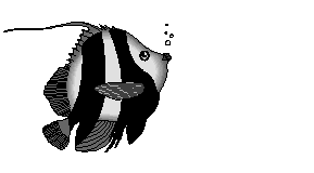 poissons078