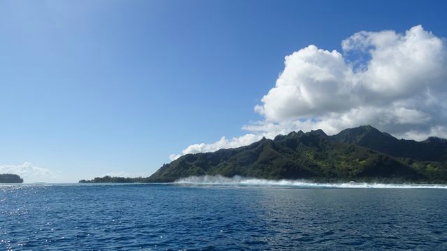 DSC06599