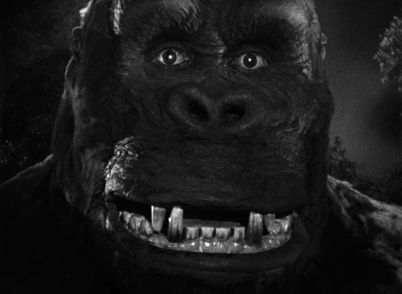 st_presse_geschlechterkampf_cooper_king_kong_2