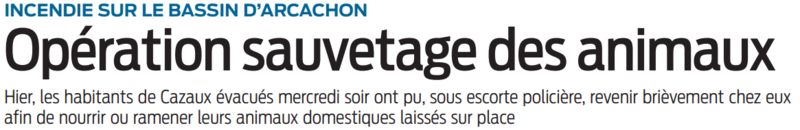 2022 07 171 SO Opération sauvetage des animaux