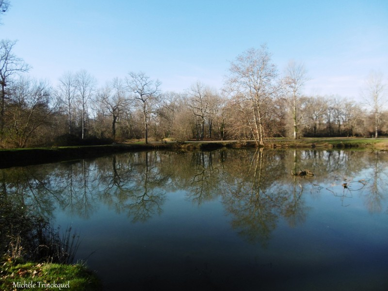 Etangs des Gravières 050119