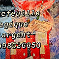 <b>Portefeuille</b> <b>magique</b> marabout +22998526850