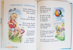 BIBICHOU-s'amuse-Livre-6-muluBrok-Vintage