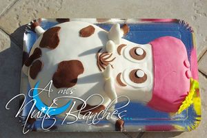 VACHE-20