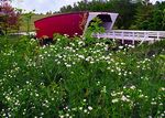 cedar_bridge_madison_county